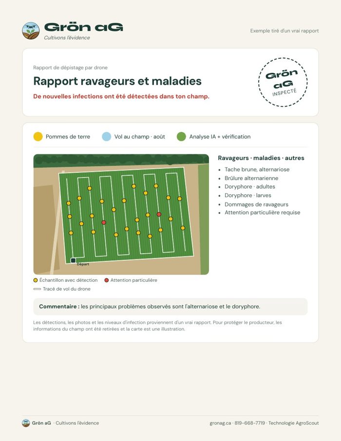 Première page du rapport ravageurs et maladies Grön aG